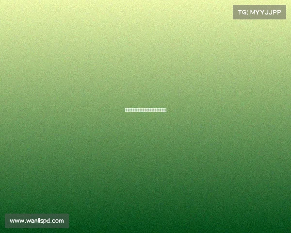 中国国足东亚杯赛事—东亚杯中国女足