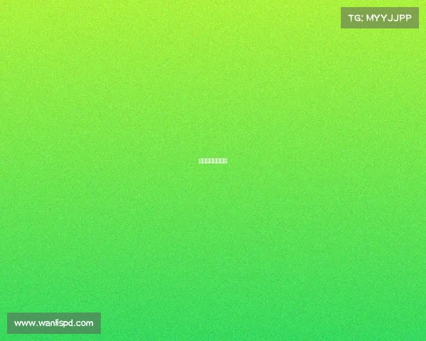 马术赛事运营分析