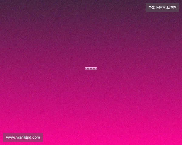 中超深圳队新消息