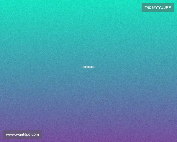 安疌赛鸽赛事直播